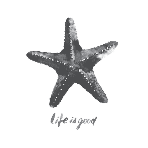 Starfish Wall Art Starfish Wall Art