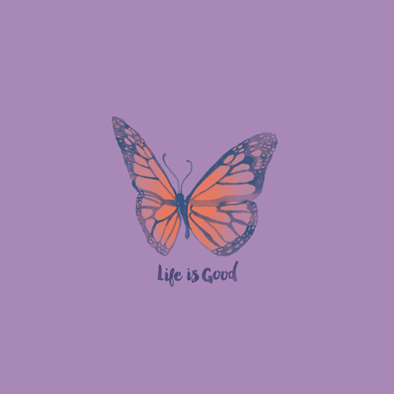 Butterfly Painted Wall Art Butterfly Painted Wall Art