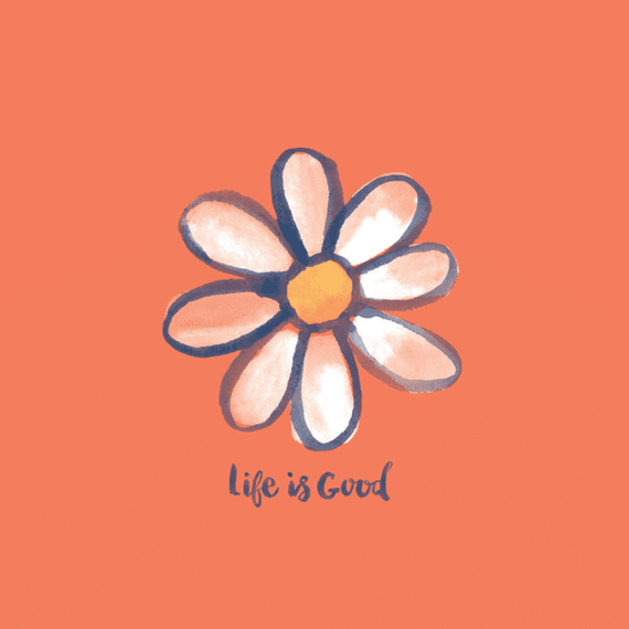 Daisy On Orange Wall Art Daisy On Orange Wall Art