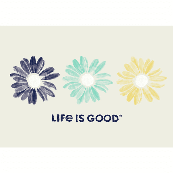 3 Daisies 20X16 Poster 3 Daisies 20X16 Poster