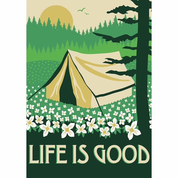 Wildflower Camp 16X20 Poster Wildflower Camp 16X20 Poster