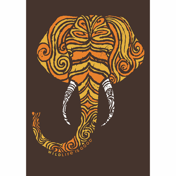Elephant 16X20 Poster Elephant 16X20 Poster