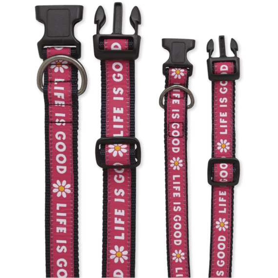 Nylon Daisy Dog Collar Nylon Daisy Dog Collar