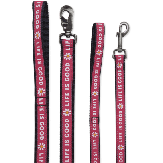 Nylon Daisy Dog Leash Nylon Daisy Dog Leash